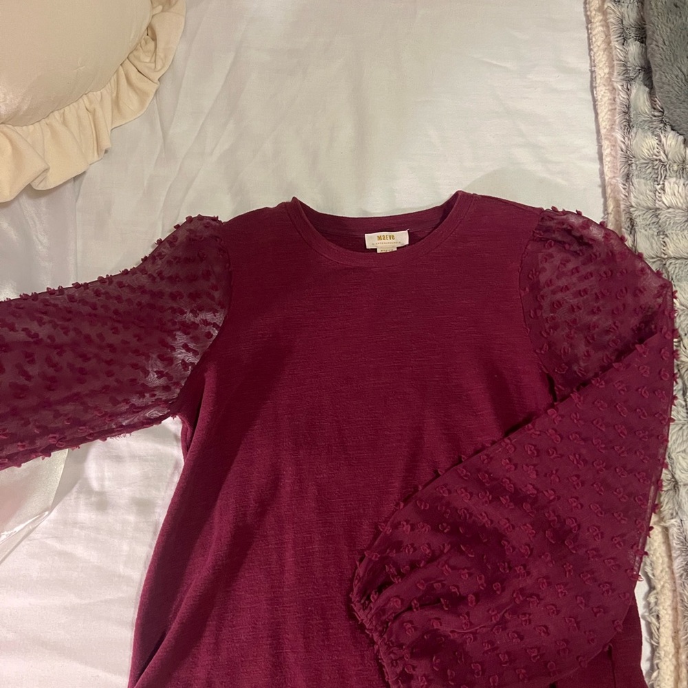 Burgundy Long Sleeve Top with Sheer Sleeves